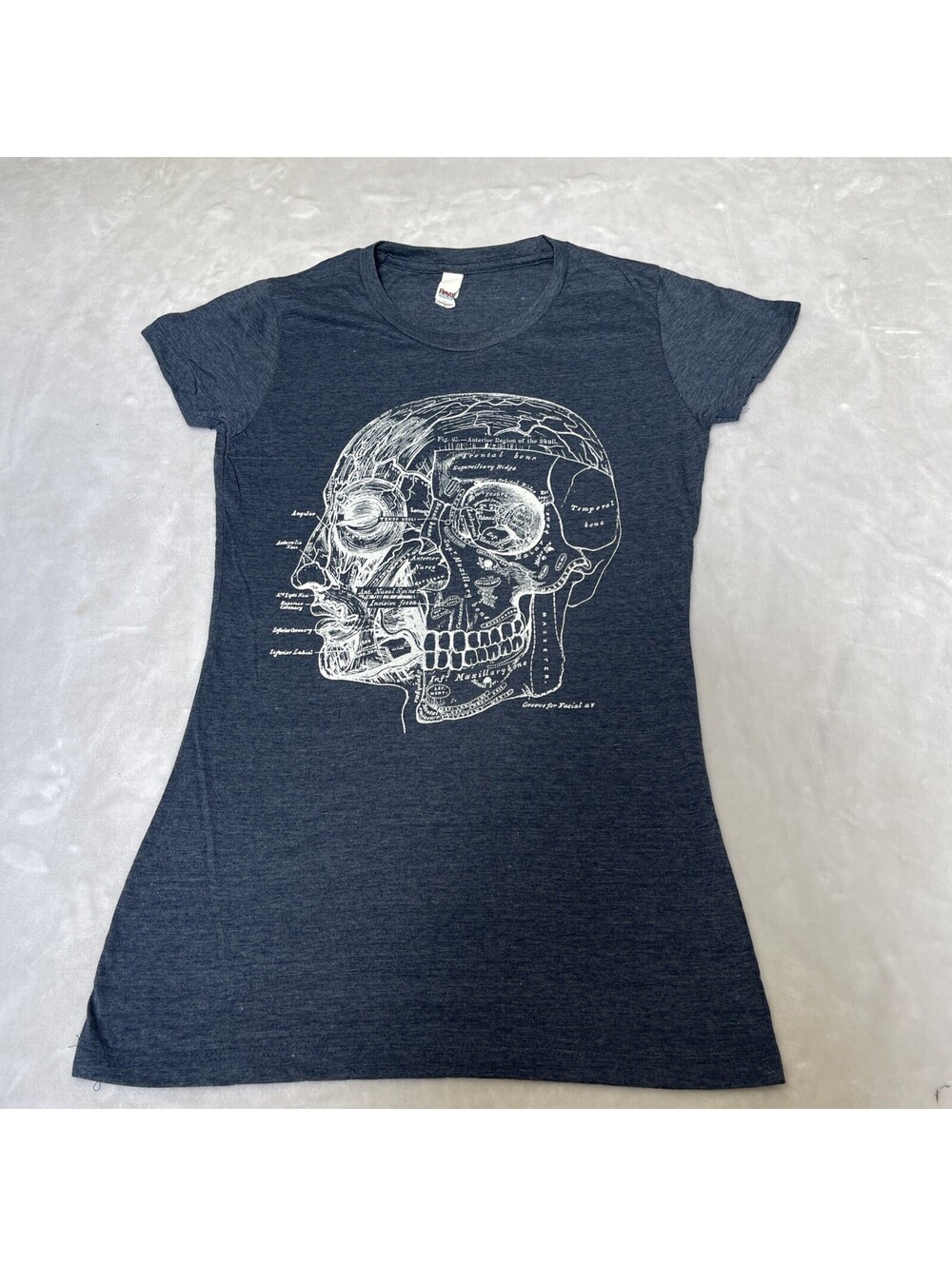 Society 6 Heather Blue Anatomical Skull T-Shirt Women’s Fitted Xl